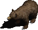 Grizzly Bear beast.png