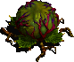 Polyp beast.png